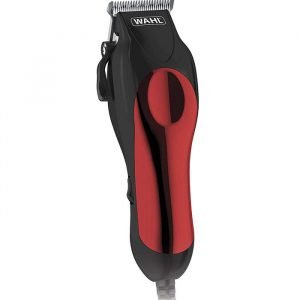 61je9DcIJNL. SL1500  compressed